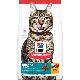 Image for SD Mature Feline